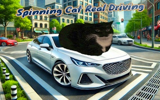 Image Spinning Cat Real Driving